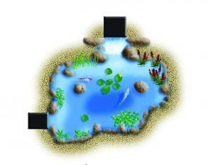 DIY Backyard Pond Kit DIY Backyard Pond Kit